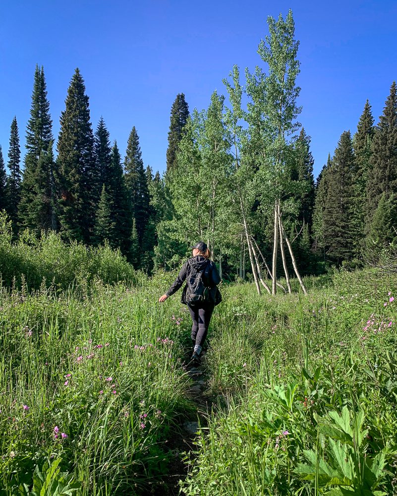 Hiking in a field