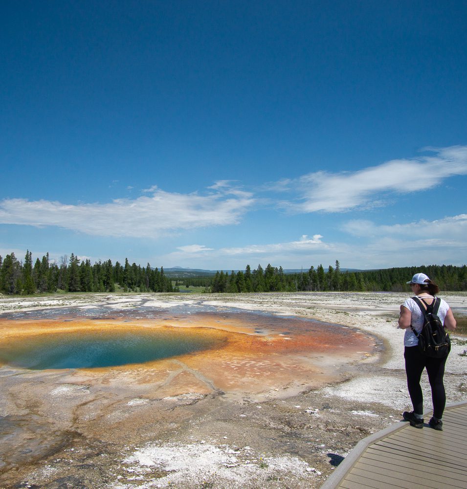 Hot spring in Yellowstone National Park