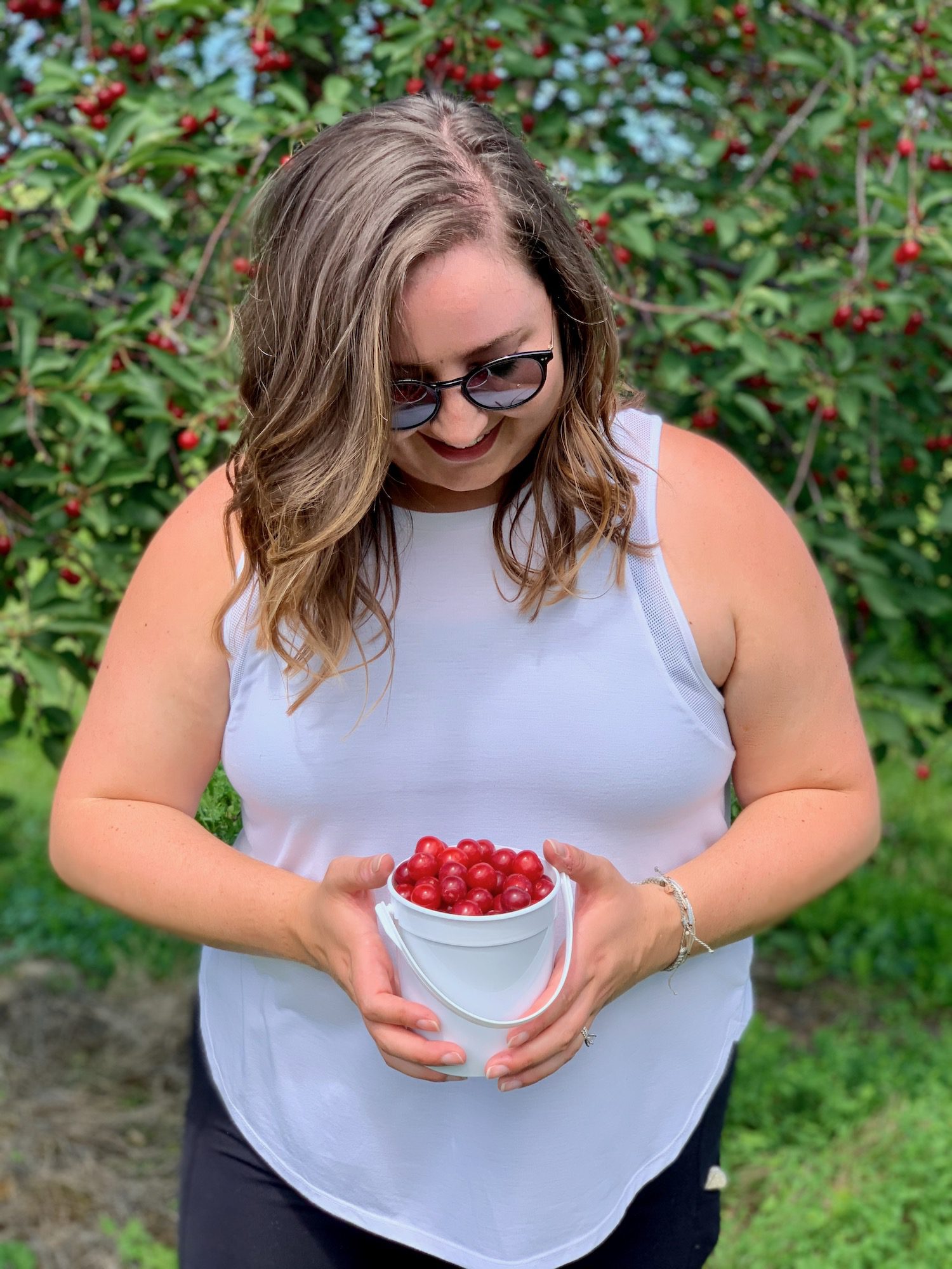 Cherry picking in Door County