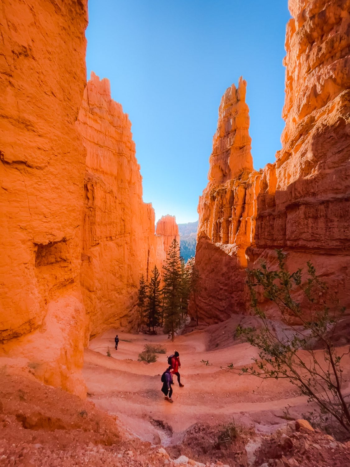 Bryce Canyon National Park