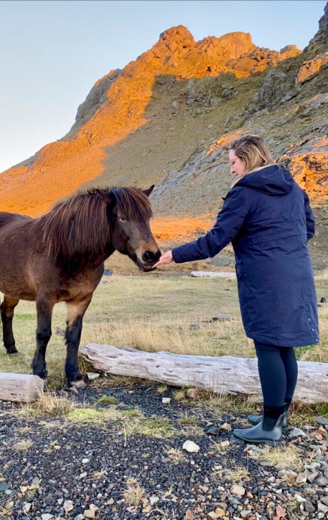 Woman petting Icelandic horse